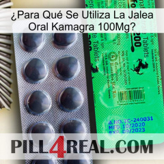 ¿Para Qué Se Utiliza La Jalea Oral Kamagra 100Mg new04